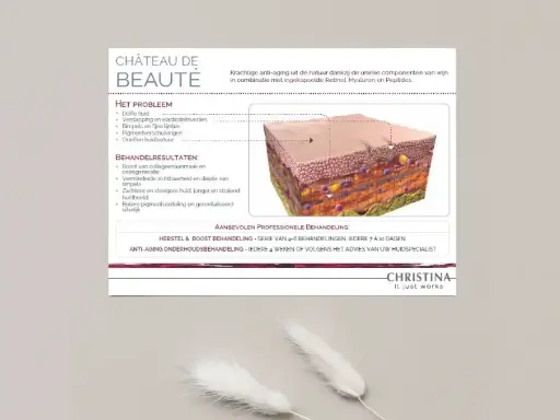 Chateau Productadvies Fiche (100 stuks)