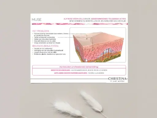 Muse Productadvies Fiche (100 stuks)